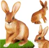 Gartenfigur - 21x11x27,5 cm - Wetterfest - Polystone - Hase Produktbild-Vorschau 8
