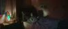 Annabelle 3 Produktbild-Vorschau 6