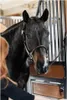 Copricapo Kentucky Horsewear per cavezza in pelle Anatomic Anteprima dell’immagine prodotto 4