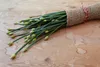 SAFLAX - Bio - Cięte - Czosnek - 100 Nasiona - Allium Podgląd zdjęcia produktu 4