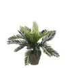 Planta decorativa Mica Decorations, cerámica, palmera (11,5 Vista previa de la imagen del producto 8