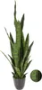 Sansevieria artificielle, 92 cm Voir les images du produit 2
