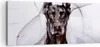 Bild auf Leinwand - Leinwandbild - Hund Abstraktion - Produktbild-Vorschau 1
