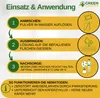 SF Nematoden gegen Ameisen- 10 Mio. für 20m² Mittel gegen Produktbild-Vorschau 9