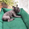 A French bulldog is resting on a green dog bed next to a potted plant. Náhled obrázku produktu