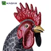 KADAX Gallo, statua da giardino 37 cm, grande statua da Anteprima dell’immagine prodotto 10