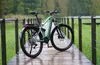 An electric bicycle is parked on a wooden boardwalk in a natural setting with greenery and a railing. Produktbild-Vorschau
