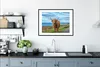 MuchoWow® Gerahmtes Poster Schottischer Highlander - Wasser Produktbild-Vorschau 4