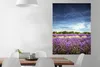 MuchoWow® Poster Blauer Himmel über Lavendel in der Natur Produktbild-Vorschau 2