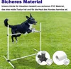 A dog jumping over an agility hurdle in a grassy field. Produktbild-Vorschau