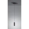Lampe suspendue MARLEY noir Trio 312400132 Voir les images du produit 2