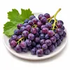 2 pièces Vigne rouge 'Boskoop Glory' en pot - raisin de Voir les images du produit 3