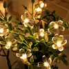 5m 20 LED Solar Lichterkette Kirschblüten LED Außen Produktbild-Vorschau 6