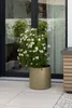 Vaso da fiori NEW RONDO in alluminio verde fango 45x45 cm Anteprima dell’immagine prodotto 2