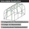 BRAST Gewächshaus Foliengewächshaus mit Stahlfundament | Produktbild-Vorschau 10