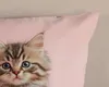 Duvet cover Good Morning 135x200 + 1* 80x80 cm - Kitten Produktbild-Vorschau 4