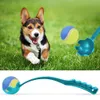 Hundespielzeug - Ballwerfer mit Tennisball - 1 Stück Produktbild-Vorschau 3