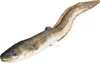 Gaby Kissen Aal 115cm Kuscheltier Fisch Stofftier Produktbild-Vorschau 6