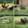Maschendrahtzaun Sechseckgeflecht KEEPY | HxL 1,0x50m | Produktbild-Vorschau 3