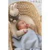 Miffy Miffy Kuscheltier 25cm flauschig blau NIJN915 Produktbild-Vorschau 5