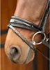 A close-up view of a horse's nose and bridle. Náhľad obrázku produktu