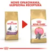 Royal Canin British Shorthair Kitten, Kocięta, Brytyjski Podgląd zdjęcia produktu 5