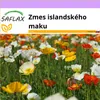 SAFLAX - Zmes islandského maku - Papaver nudicaule - 8000 Náhľad obrázku produktu 4