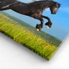 Bild auf Leinwand - Leinwandbild - Schwarzes Pferd Pferd Produktbild-Vorschau 5