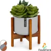 Fox & Fern Porte Plante Interieur, Support de Plantes en Voir les images du produit 1