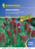 Artikelbild 1 von 'Inkarnatklee Kardinal (1 kg)' aus der Kategorie Gründünger & -düngung Produktbild-Vorschau