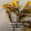 Omega-3 Daily - Veganes Omega-3 aus Algenöl - 60 Kapseln Produktbild-Vorschau 5