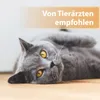 Felisept®: Gel para el cuidado de heridas para gatos, 20 Vista previa de la imagen del producto 5