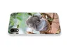 MuchoWow® Handyhülle Schutzhülle Hülle für iPhone XR Koala Produktbild-Vorschau 5