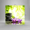 Bilder auf glas - Spa bambus blume wasser - 40x40cm - Produktbild-Vorschau 3