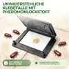 Brotkäfer Falle mit Pheromon-Lockstoff - 2x Fallen -  Produktbild-Vorschau 4