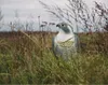 A realistic decoy falcon stands in tall grass in a field. Náhľad obrázku produktu