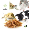A collage of different pets and pet food. Produktbild-Vorschau