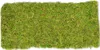 Moosplatte ca. 38x18cm | Moosmatte Produktbild-Vorschau 1