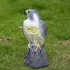 Vogelschreck Vogelabwehr Naturgetreuer Lebensgroß Falke Produktbild-Vorschau 10