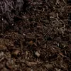 Culvita | Terreau universel 40 litres | Substrat universel Voir les images du produit 3