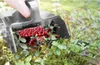 Beerenpflücker Heidelbeerkamm Rechenschaufel Johannisbeeren Produktbild-Vorschau 8