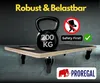 Mega Deal 2x Profi Transportroller HERCULES | BxT 30x60 cm Produktbild-Vorschau 3