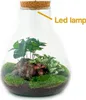 Urbanjngl Flaschengarten Sam mit Lampe - 30 cm Produktbild-Vorschau 2