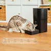 Cecotec Pumba 6000 Purrfect Meal Smart, Produktbild-Vorschau 5