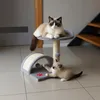 Tiragraffi per gatto piccolo con seduta morbida 45 cm Anteprima dell’immagine prodotto 7