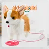 Lolex | Interaktiver Hund - Corgi - Bunt - Realistische Produktbild-Vorschau 12