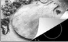 KitchenYeah© Herdabdeckplatte Ein rundes Schneidebrett mit Produktbild-Vorschau 1