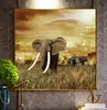 TPFLiving Kunstdruck LW-862 (OHNE RAHMEN) Poster - Leinwand Produktbild-Vorschau 5