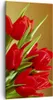 Bild auf Leinwand - Leinwandbild - Tulpen Blumen Feld Produktbild-Vorschau 1