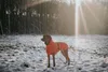 Hunter Nordby, Hund, Mantel, Orange, Polyester, Einfarbig, Produktbild-Vorschau 13